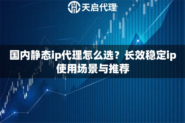 国内静态ip代理怎么选?长效稳定ip使用场景与推荐 国内静态ip代理怎么选?长效稳定ip使用场景与推荐