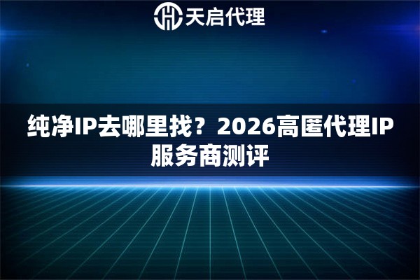 纯净IP去哪里找？2026高匿代理IP服务商测评