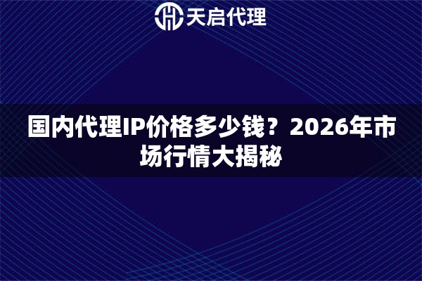 国内代理IP价格多少钱？2026年市场行情大揭秘