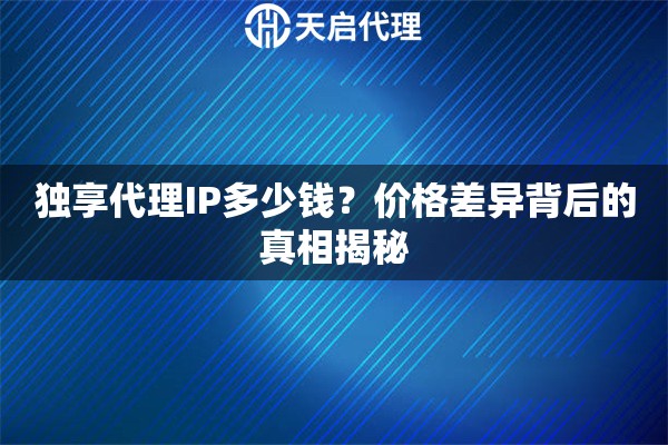 独享代理IP多少钱？价格差异背后的真相揭秘