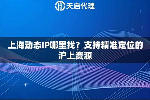 上海动态IP哪里找？支持精准定位的沪上资源