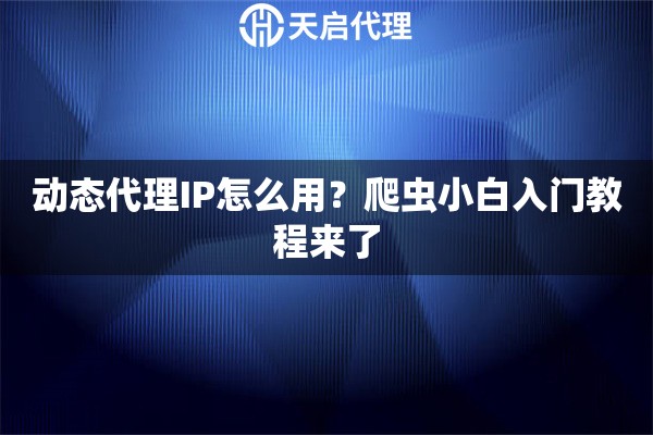 动态代理IP怎么用？爬虫小白入门教程来了