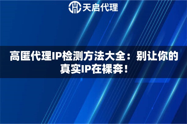 高匿代理IP检测方法大全：别让你的真实IP在裸奔！