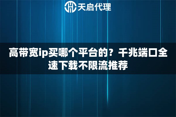高带宽ip买哪个平台的？千兆端口全速下载不限流推荐