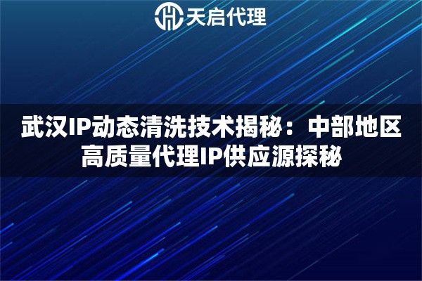 武汉IP动态清洗技术揭秘：中部地区高质量代理IP供应源探秘
