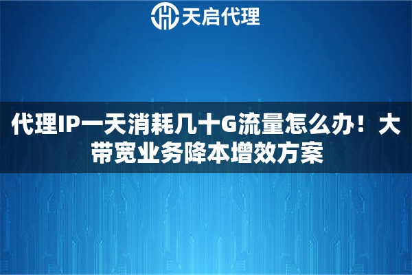 代理IP一天消耗几十G流量怎么办！大带宽业务降本增效方案