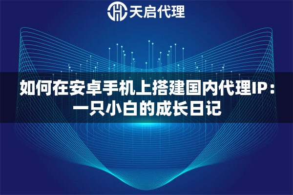 如何在安卓手机上搭建国内代理IP：一只小白的成长日记