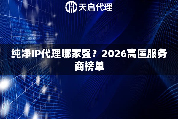 纯净IP代理哪家强？2026高匿服务商榜单