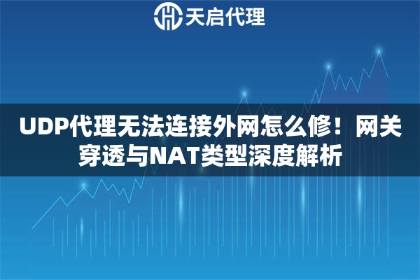 UDP代理无法连接外网怎么修！网关穿透与NAT类型深度解析
