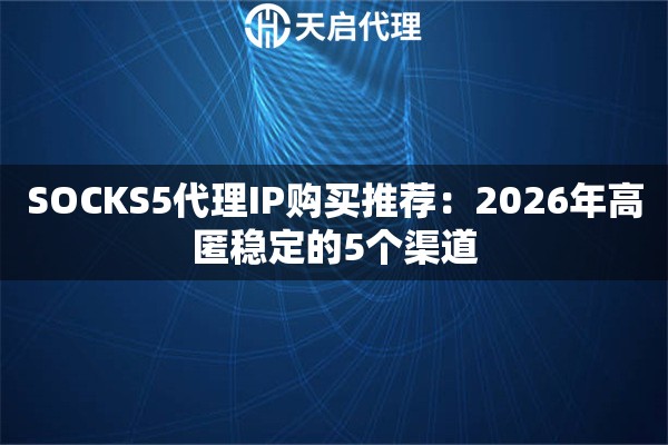 SOCKS5代理IP购买推荐：2026年高匿稳定的5个渠道