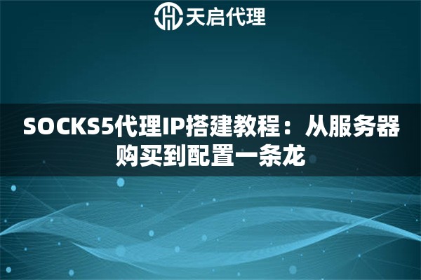 SOCKS5代理IP搭建教程：从服务器购买到配置一条龙