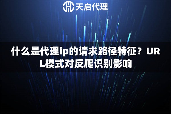 什么是代理ip的请求路径特征？URL模式对反爬识别影响