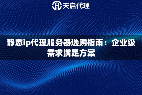 静态ip代理服务器选购指南：企业级需求满足方案
