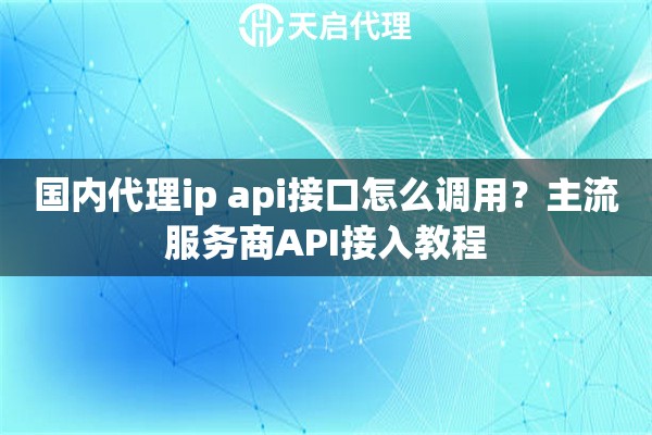 国内代理ip api接口怎么调用？主流服务商API接入教程