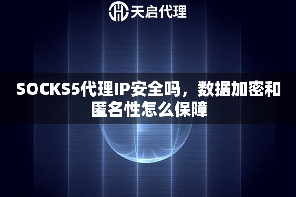 SOCKS5代理IP安全吗，数据加密和匿名性怎么保障