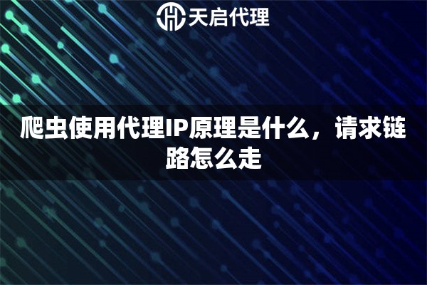 爬虫使用代理IP原理是什么，请求链路怎么走