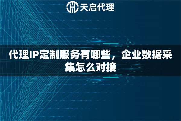 代理IP定制服务有哪些，企业数据采集怎么对接