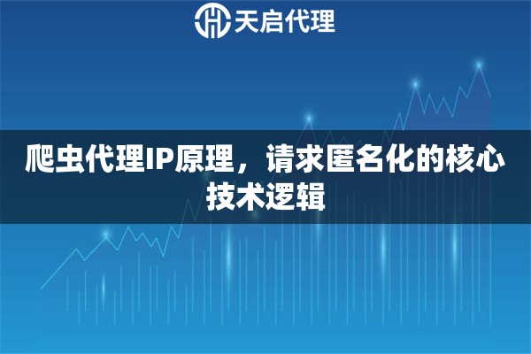 爬虫代理IP原理，请求匿名化的核心技术逻辑