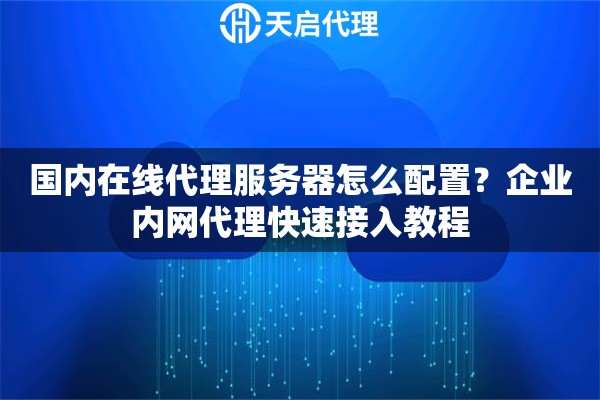 国内在线代理服务器怎么配置？企业内网代理快速接入教程