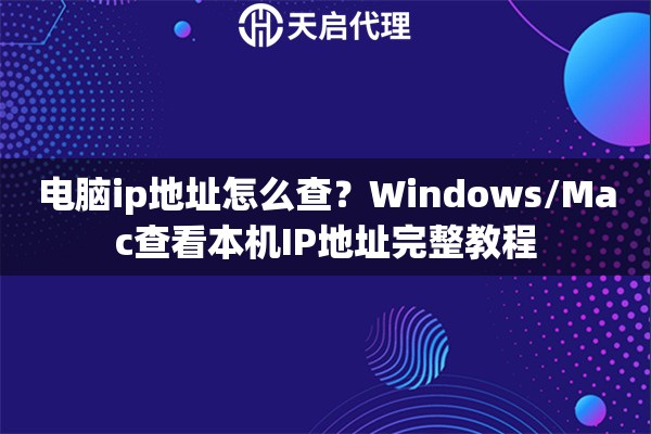 电脑ip地址怎么查？Windows/Mac查看本机IP地址完整教程