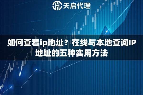 如何查看ip地址？在线与本地查询IP地址的五种实用方法
