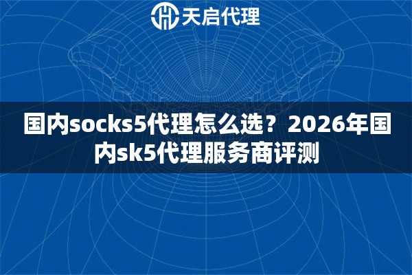 国内socks5代理怎么选？2026年国内sk5代理服务商评测