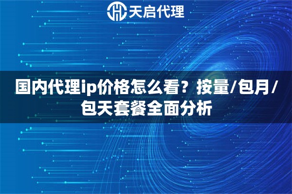 国内代理ip价格怎么看？按量/包月/包天套餐全面分析