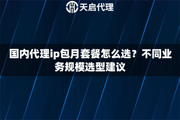 国内代理ip包月套餐怎么选？不同业务规模选型建议