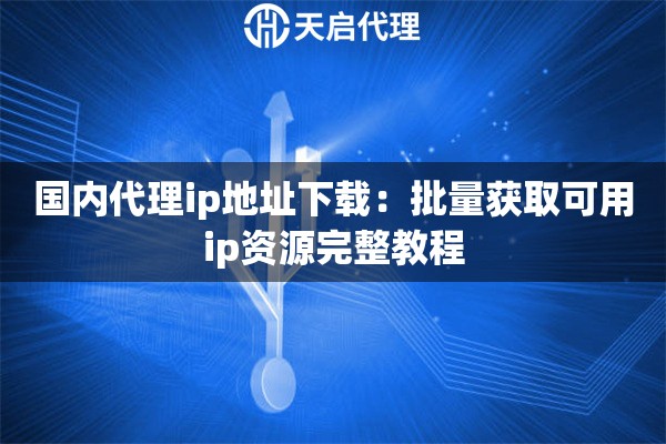 国内代理ip地址下载：批量获取可用ip资源完整教程
