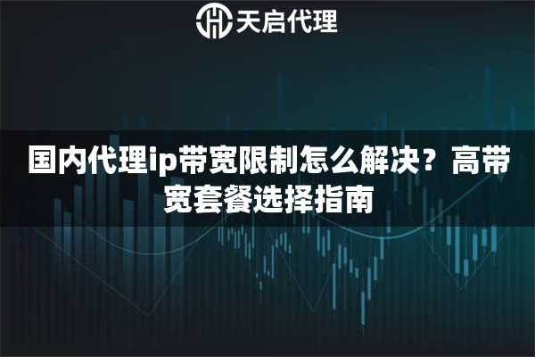 国内代理ip带宽限制怎么解决?高带宽套餐选择指南 国内代理ip带宽限制怎么解决?高带宽套餐选择指南