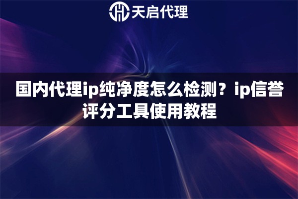 国内代理ip纯净度怎么检测？ip信誉评分工具使用教程