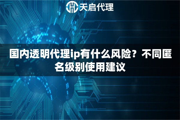 国内透明代理ip有什么风险？不同匿名级别使用建议
