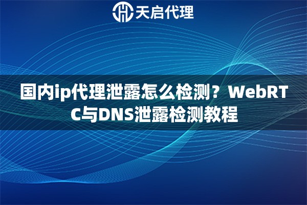 国内ip代理泄露怎么检测?WebRTC与DNS泄露检测教程 国内ip代理泄露怎么检测?WebRTC与DNS泄露检测教程