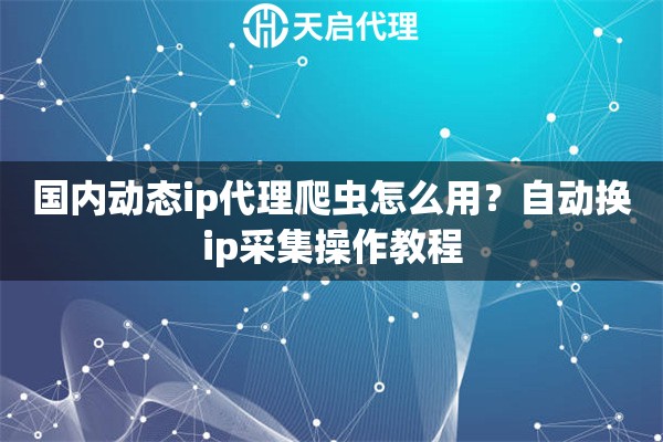 国内动态ip代理爬虫怎么用？自动换ip采集操作教程