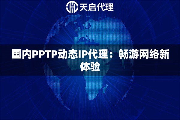 国内PPTP动态IP代理：畅游网络新体验