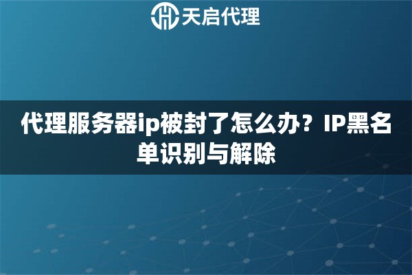 代理服务器ip被封了怎么办？IP黑名单识别与解除
