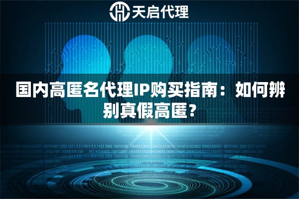 国内高匿名代理IP购买指南：如何辨别真假高匿？
