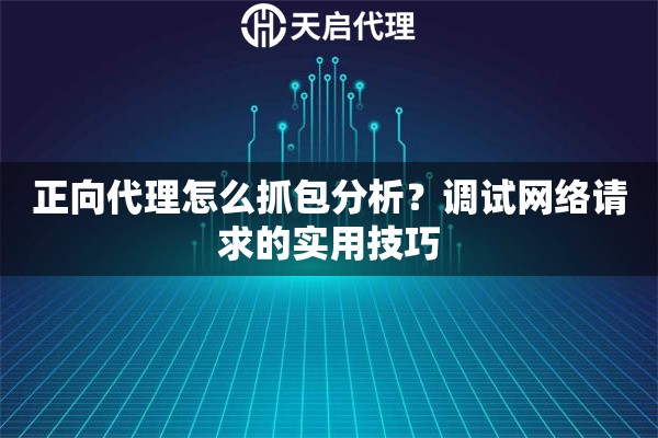 正向代理怎么抓包分析？调试网络请求的实用技巧