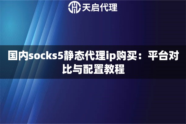 国内socks5静态代理ip购买：平台对比与配置教程
