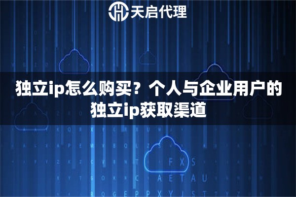 独立ip怎么购买？个人与企业用户的独立ip获取渠道