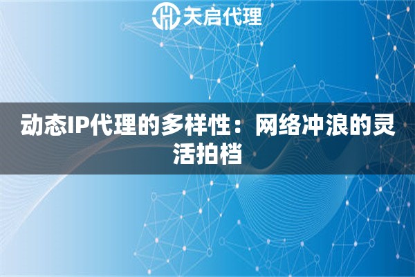 动态IP代理的多样性：网络冲浪的灵活拍档