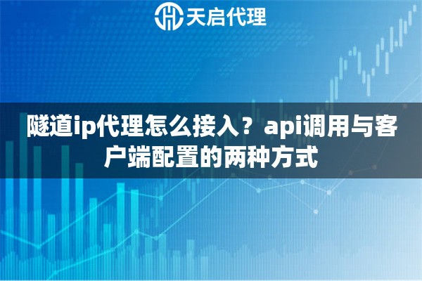 隧道ip代理怎么接入？api调用与客户端配置的两种方式