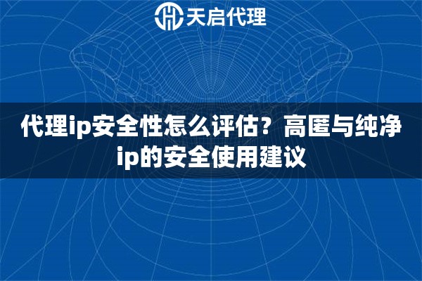代理ip安全性怎么评估？高匿与纯净ip的安全使用建议