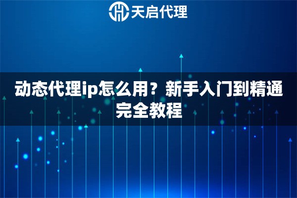 动态代理ip怎么用？新手入门到精通完全教程
