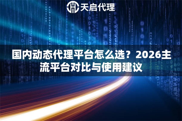 国内动态代理平台怎么选？2026主流平台对比与使用建议