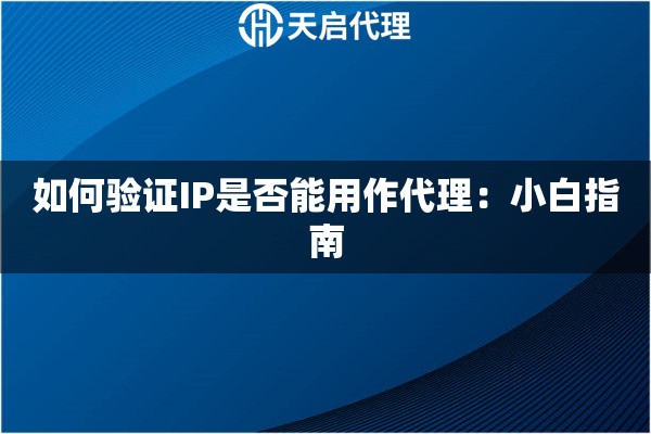 如何验证IP是否能用作代理：小白指南