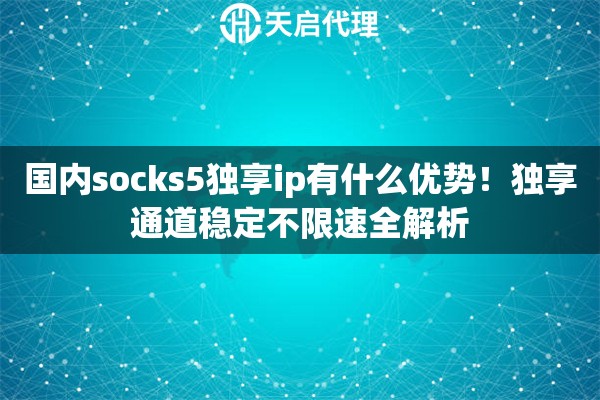 国内socks5独享ip有什么优势！独享通道稳定不限速全解析