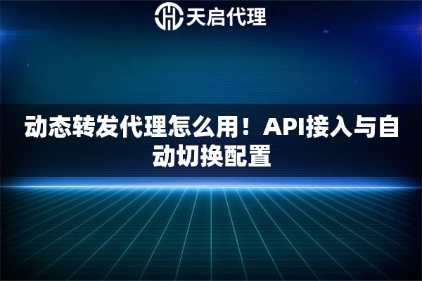动态转发代理怎么用！API接入与自动切换配置
