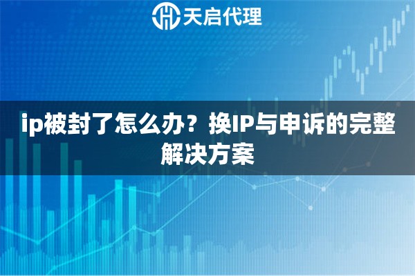 ip被封了怎么办？换IP与申诉的完整解决方案