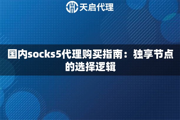 国内socks5代理购买指南：独享节点的选择逻辑